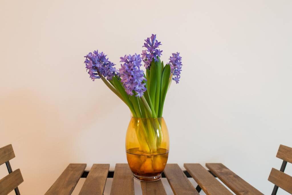 Charming Apartment In City Center Amsterdam Buitenkant foto